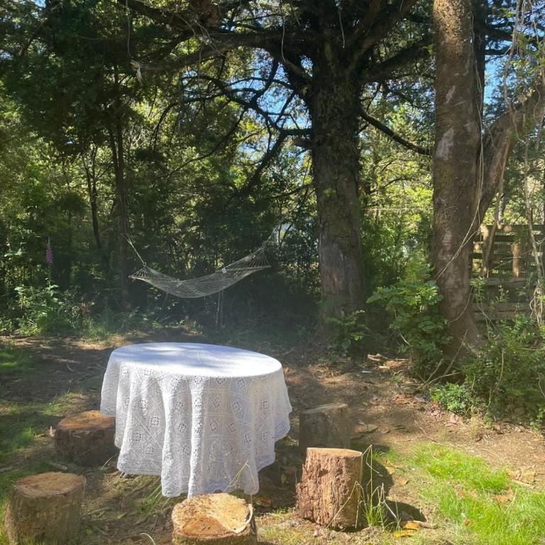 Cabaña del bosque con estero - Two-Bedroom House - 12