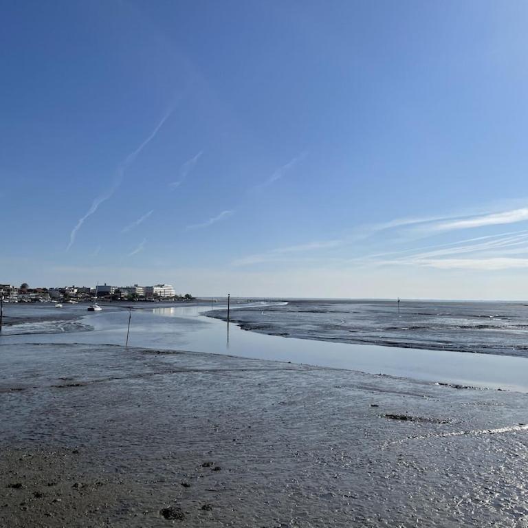 Ville les flots bleus Proche golf Arcachon - Casa con 4 camere da letto - 7