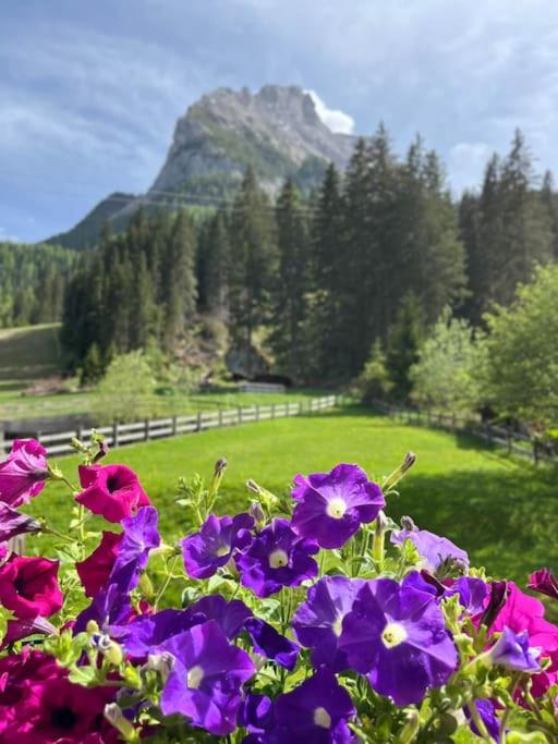 Sellaronda - Ciampac Experience - Appartamento con 1 Camera da Letto - 15