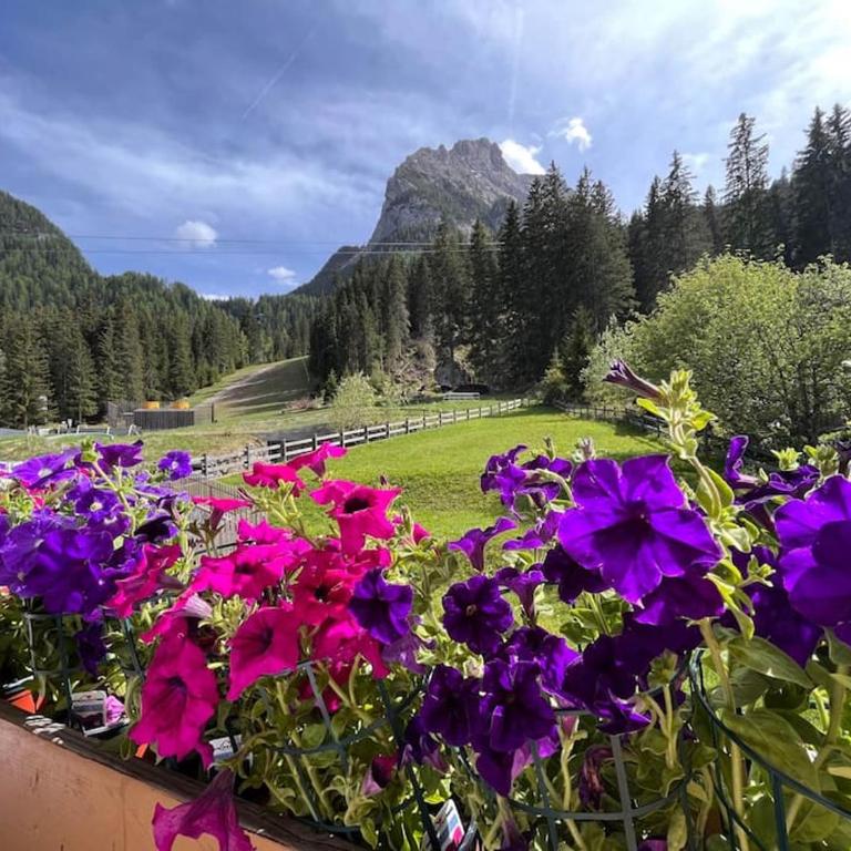 Sellaronda - Ciampac Experience - Appartamento con 1 Camera da Letto - 17