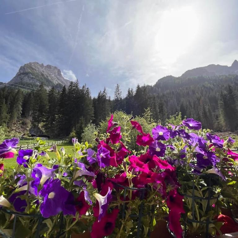 Sellaronda - Ciampac Experience - Appartamento con 1 Camera da Letto - 19