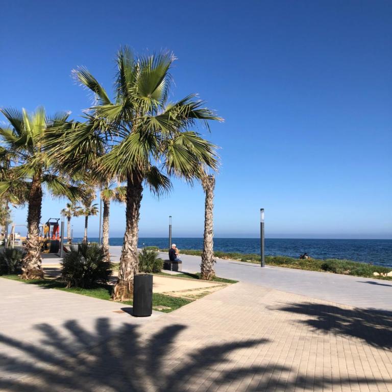 Apartament Claro - Three-Bedroom Apartment - 2