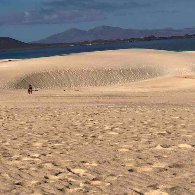 B-Rent Tamarindo amazing sea view - One-Bedroom Apartment - 27