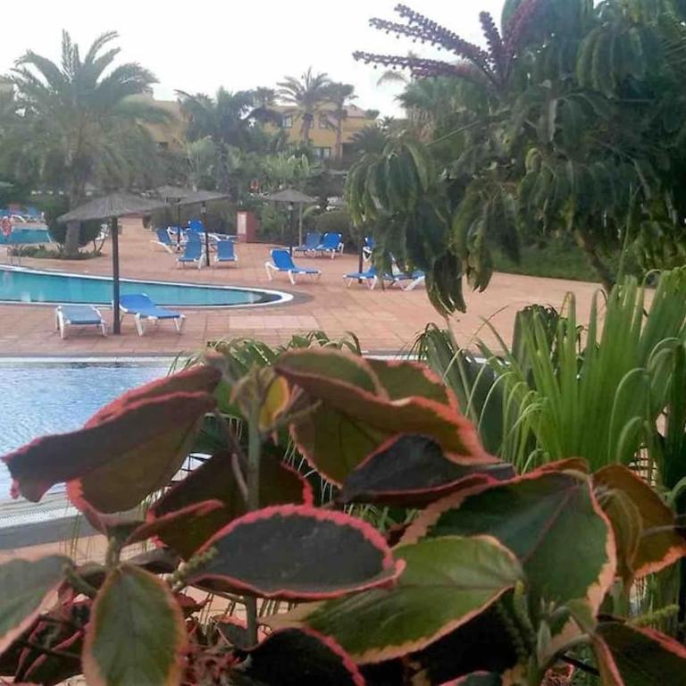 B-Rent Tamarindo amazing sea view - One-Bedroom Apartment - 28