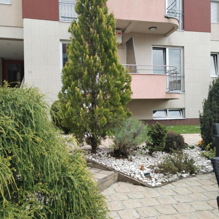 BG apartman - Apartman - 8