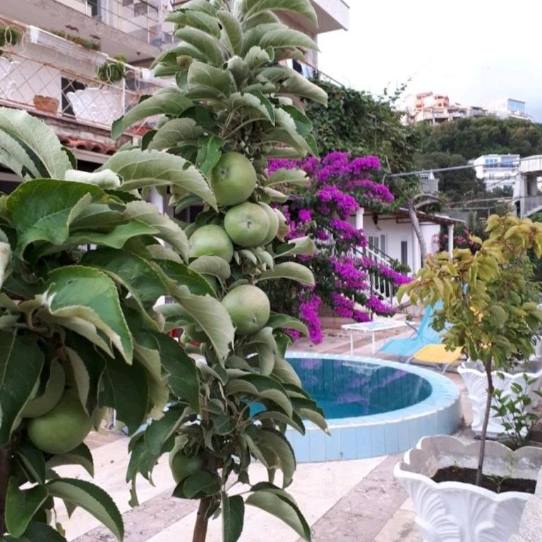 Apartman LOKI - Apartman sa Dve Spavaće Sobe i Sopstvenim Bazenom - 2