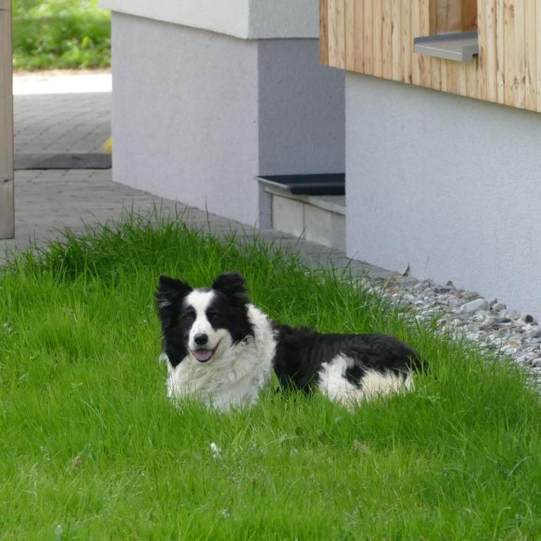 Ferienhaus Strohschneider - Haus mit 3 Schlafzimmern - 10