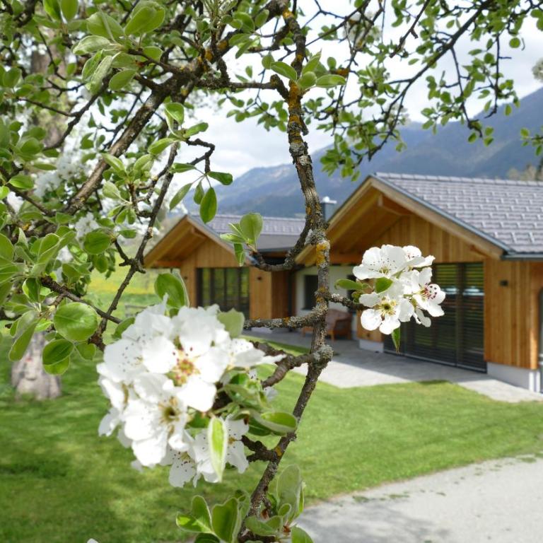 Ferienhaus Strohschneider - Haus mit 3 Schlafzimmern - 6