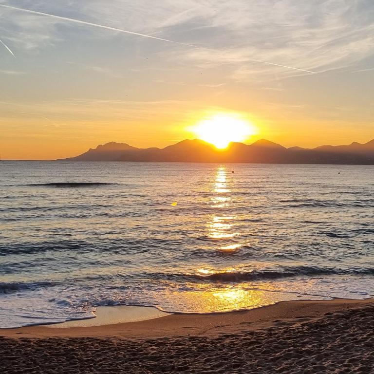CROISETTE AZUR ONE BEDROOM APARTMENT WITH TERRACE - Appartement 1 Chambre - 11
