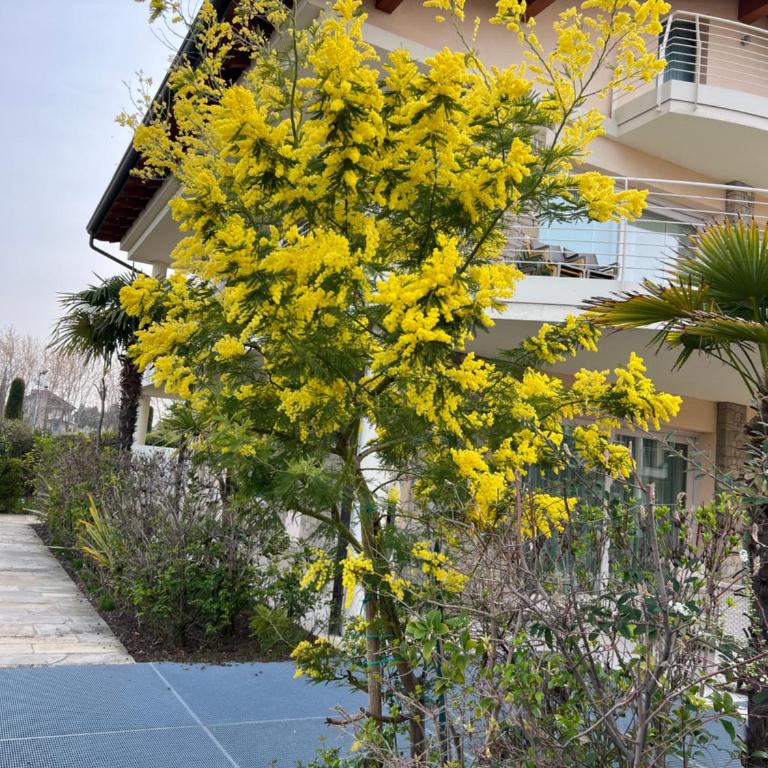 Casa della Regina - Suite con Vista Lago - 4