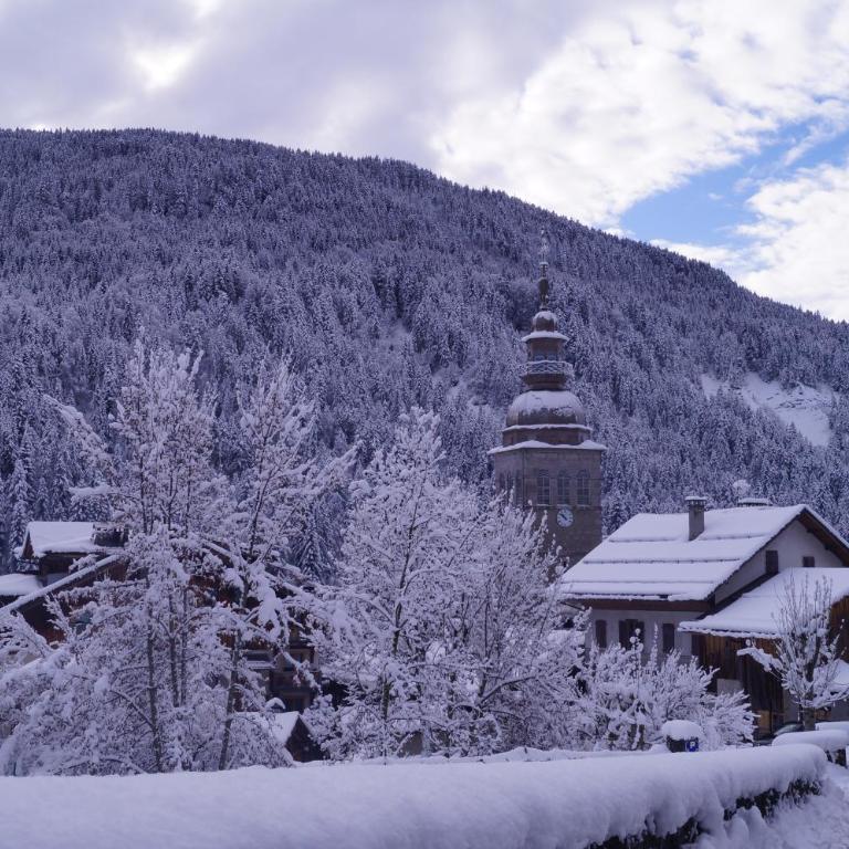 La petite Anfiane - Chalet - 26