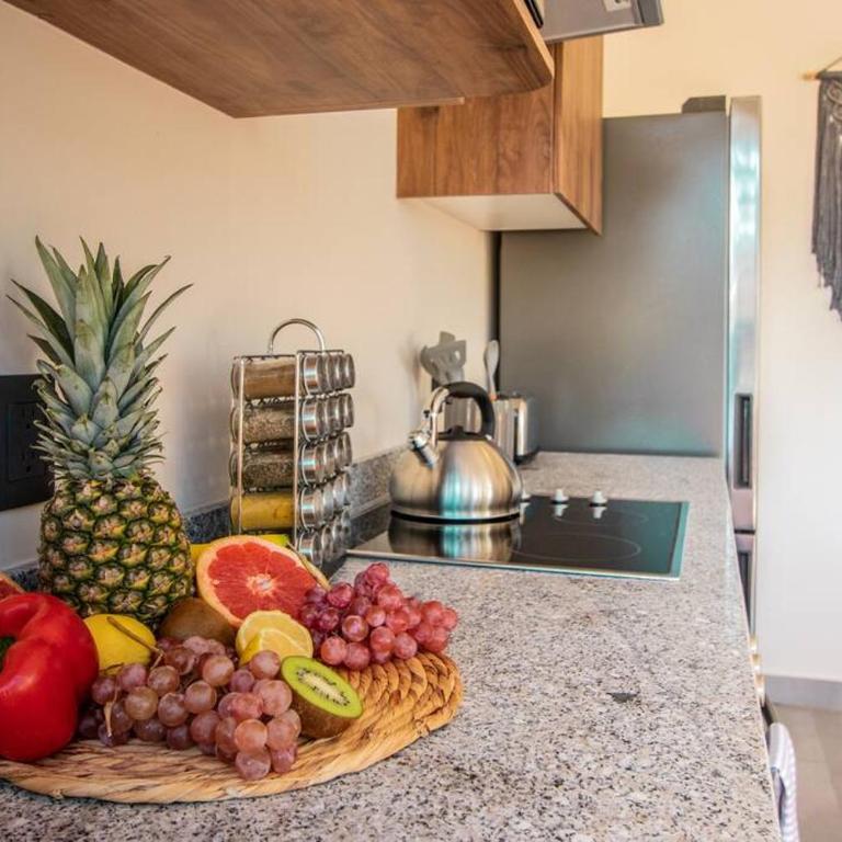 The Savia house · rooftop & gym - Casa de 2 dormitorios - 40