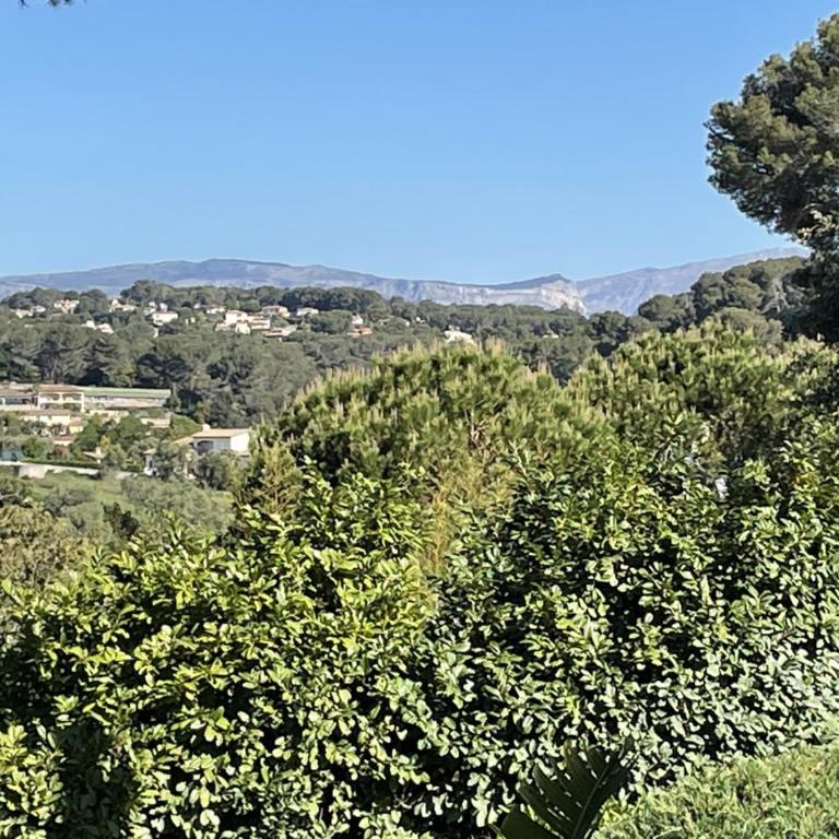 Magnifique Villa de prestige Antibes/Juan-les-Pins - Villa - 36