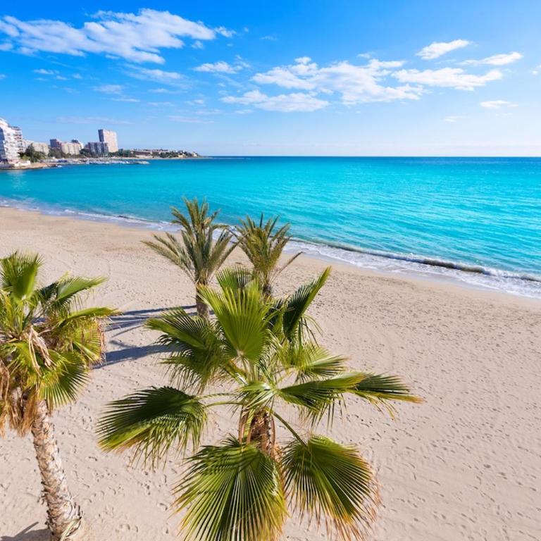 Very lightful apartment. Incredible sea views. Big terrace, Swimming pool. AC. Very close to Alicante city center. - Two-Bedroom Apartment - 18