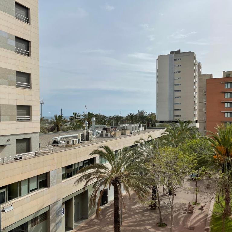 Apartment with sea views next to the beach of Mar Bella - One-Bedroom Apartment - 5