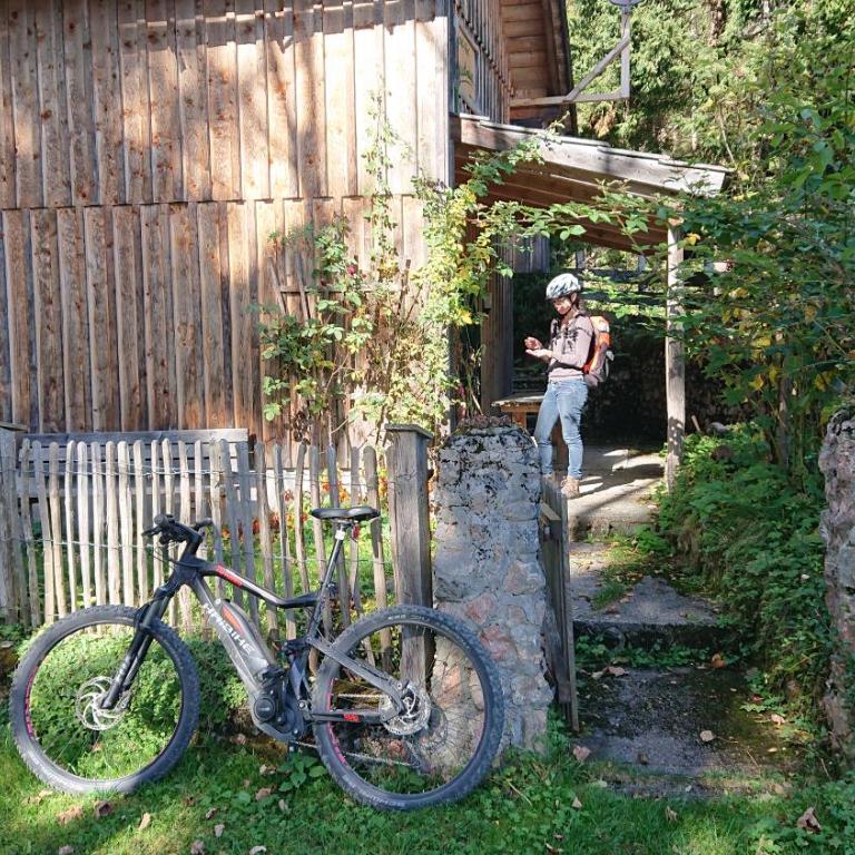Knödl-Alm Waldhäusl - Haus mit 1 Schlafzimmer - 15