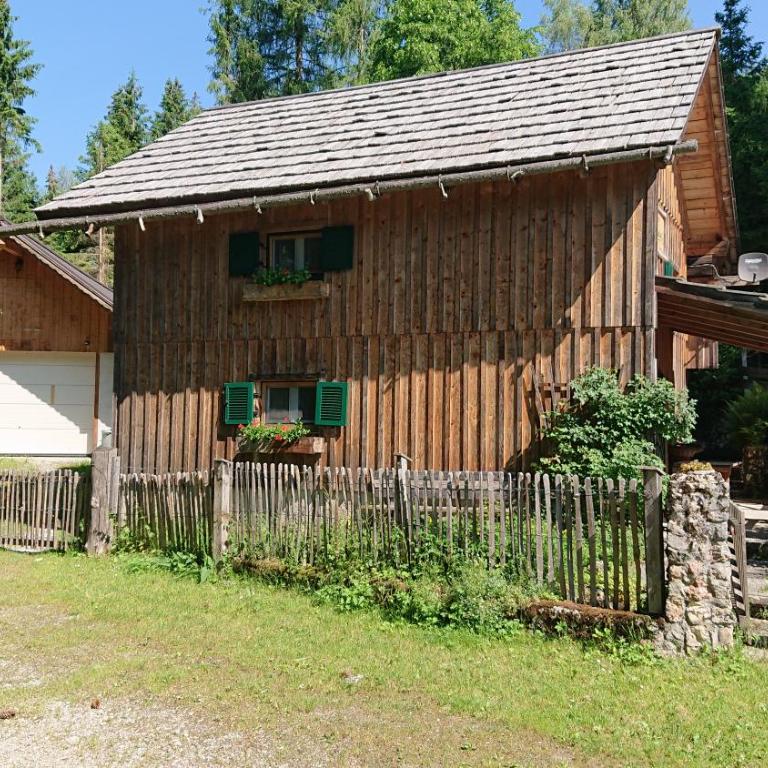 Knödl-Alm Waldhäusl - Haus mit 1 Schlafzimmer - 20