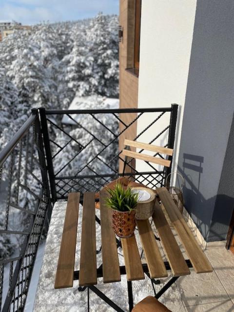 Appartement Vila Luxury and Spa - Apartman sa 2 Spavaće Sobe - 66