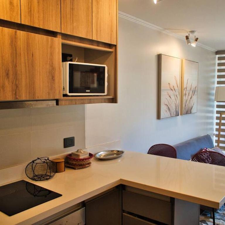 Cómodo Departamento en Pucón - One-Bedroom Apartment with Balcony and Mountain View - 7