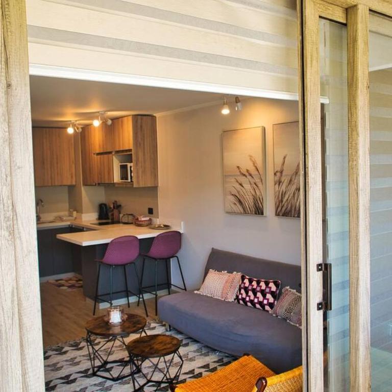 Cómodo Departamento en Pucón - One-Bedroom Apartment with Balcony and Mountain View - 8