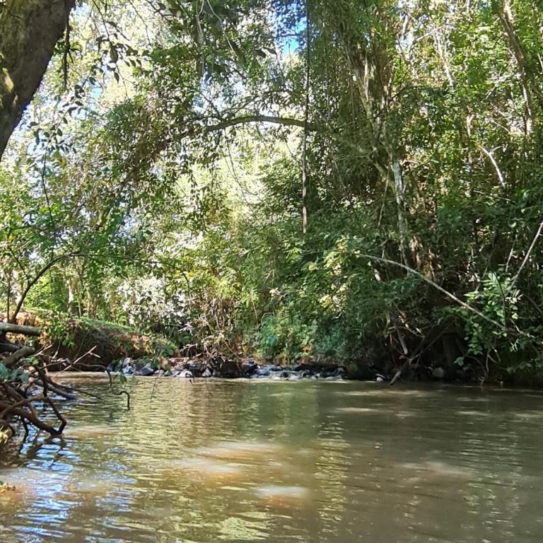 Minicasa rural "El Sitio de la Vida" - Apartamento Superior - 5
