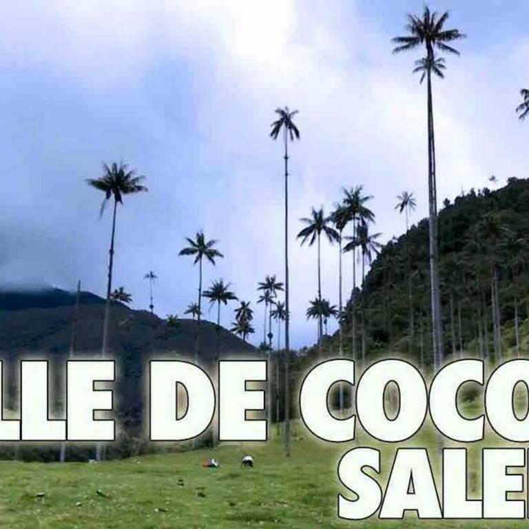 Descanso y Confort 3 Luxury - Three-Bedroom Apartment - 34