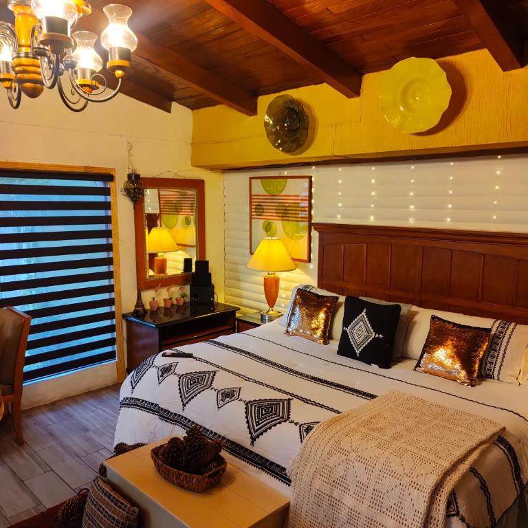 Villas De Los Pinos - Villa Estándar - 33