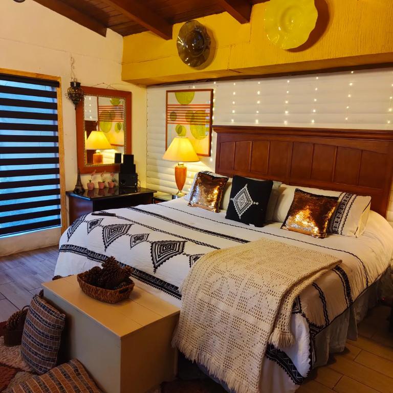 Villas De Los Pinos - Villa Estándar - 21