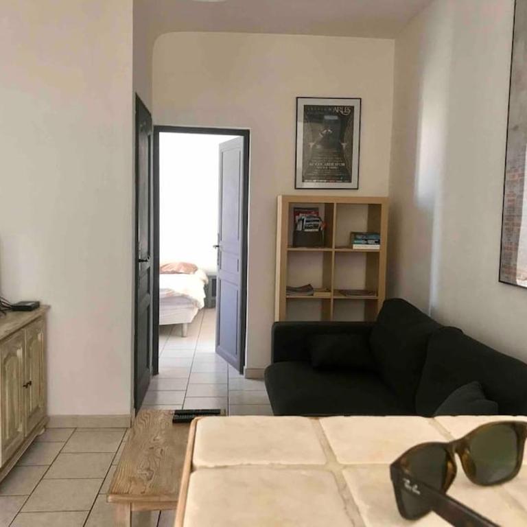 Appartement face aux Arènes - Appartement 1 Chambre - 1