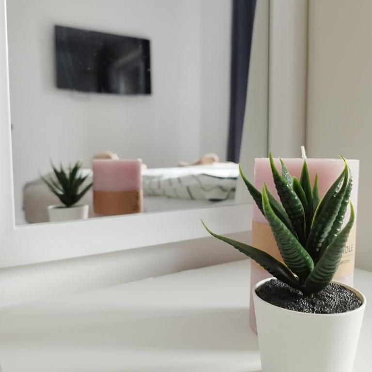 Apartmani ZAT - Studio sa Bračnim Krevetom (King-size) - 1