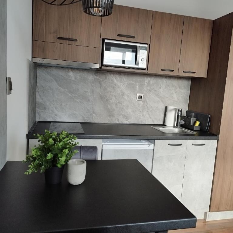 Apartmani ZAT - Studio sa Bračnim Krevetom (King-size) - 8