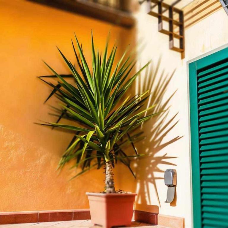 Advocata Nostra, vivere in case nel borgo - Three-Bedroom Apartment - 5