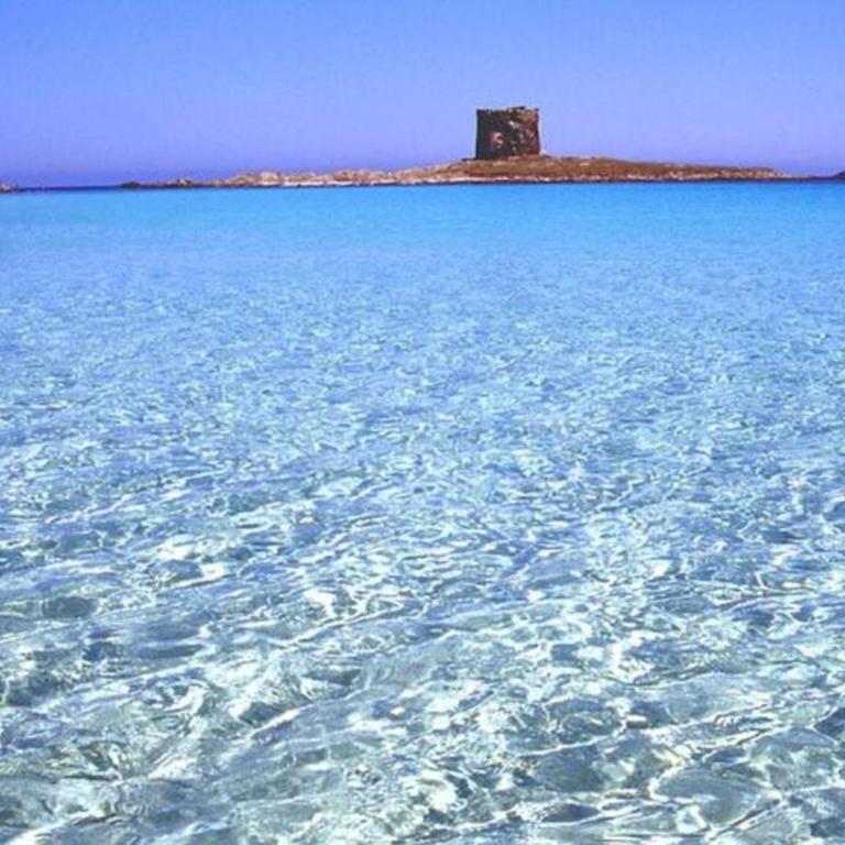 Stintino casa panoramica a 500 mt dal mare - Casa con 3 Camere da Letto - 32