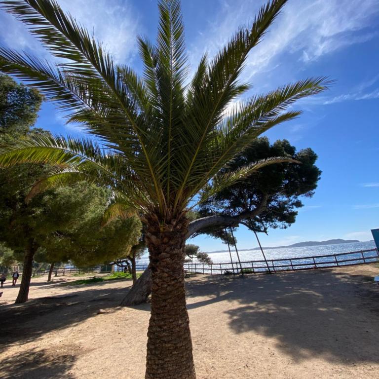 CARQUEIRANNE STUDIO DE CHARME PROCHE PLAGES - Appartement 1 Chambre - 17