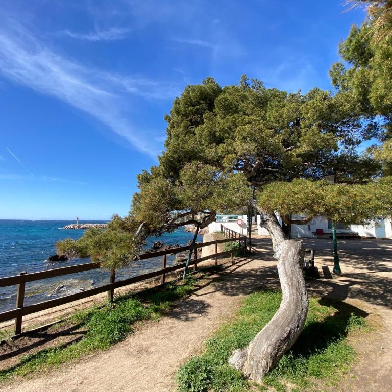 CARQUEIRANNE STUDIO DE CHARME PROCHE PLAGES - Appartement 1 Chambre - 15