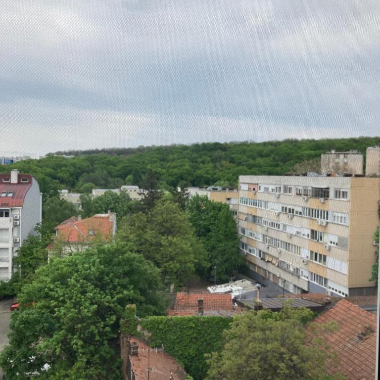 Forest View - Apartman sa 1 Spavaćom Sobom - 11