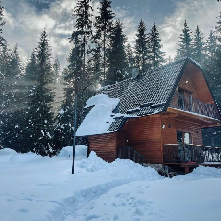 Planinska kuća Dunja - Two-Bedroom Chalet - 22