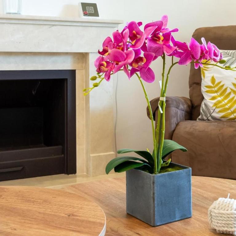 Magic Corner on Golden Mile - Apartment - 47