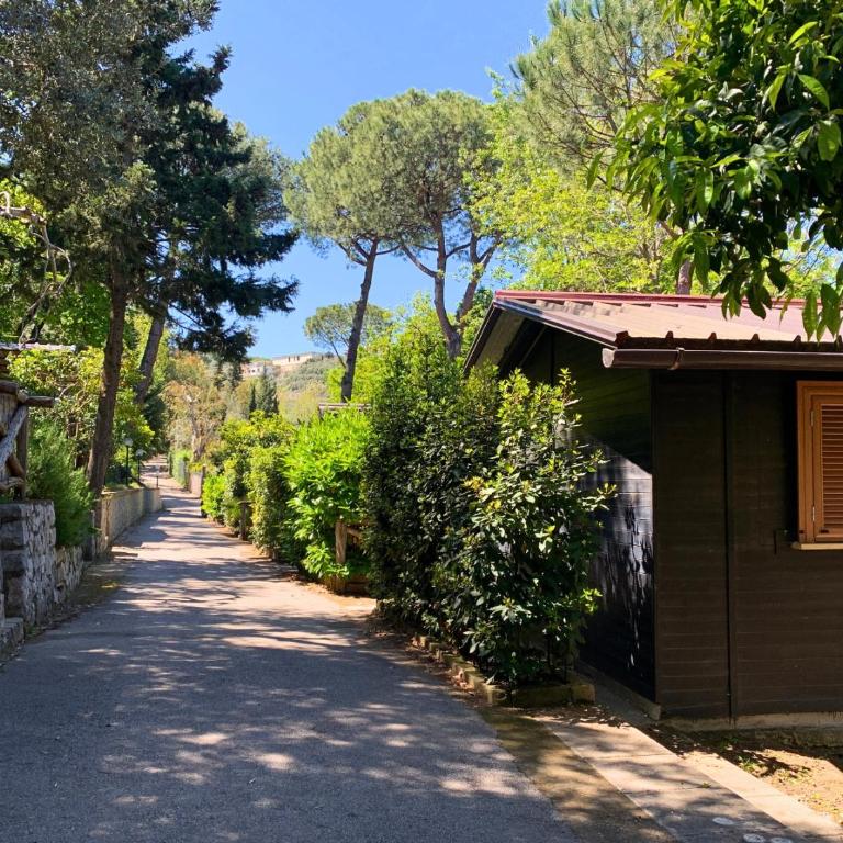 Village Camping Santa Fortunata - Campogaio - Superior Bungalow - 1