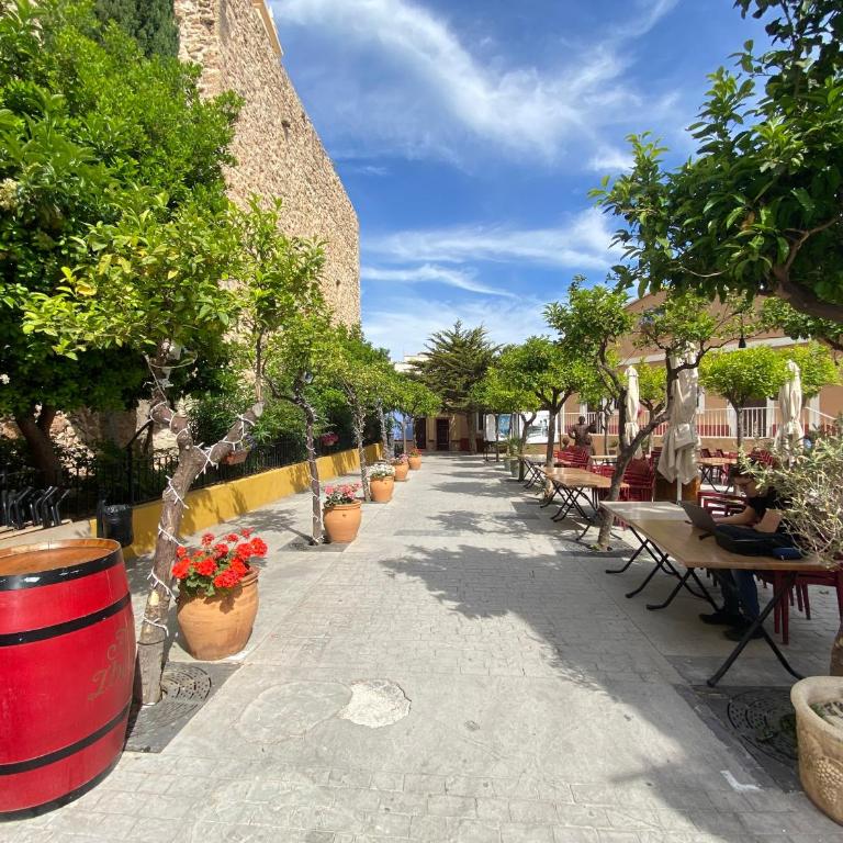 Apartment with solarium/terrace. - Apartamento de 1 dormitorio - 60