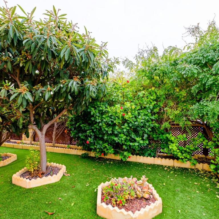 Gabriela Mistral ID119 - Villa con vistas al jardín - 51