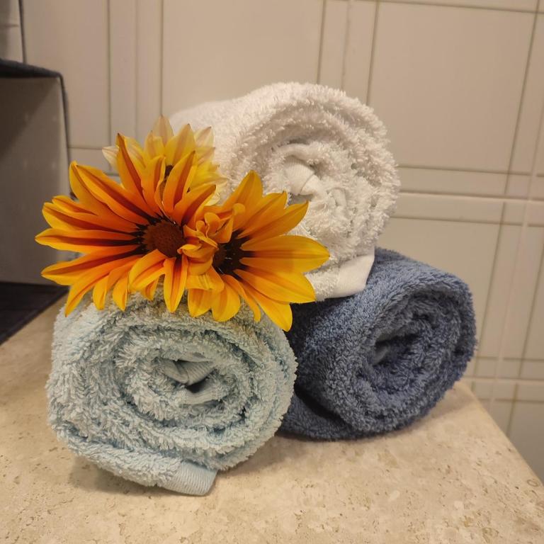 Sogno sul mare - Appartamento con 3 Camere da Letto - 33