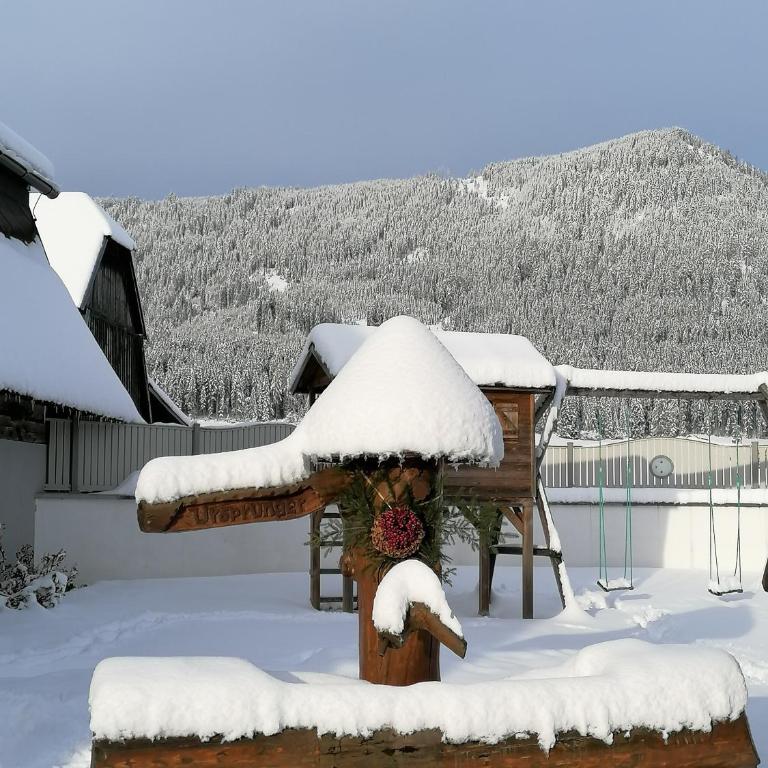 Ursprunghof - Appartement 2 Chambres - 29