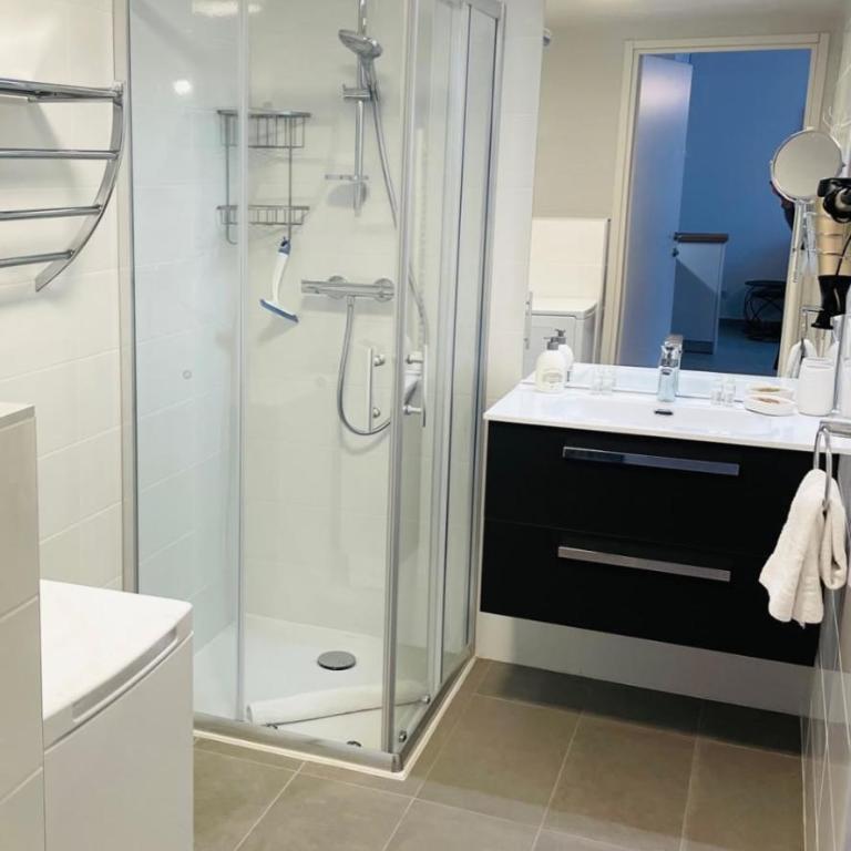 Le Quartz Tresum résidence moderne près du lac garage inclus - Appartement - 18