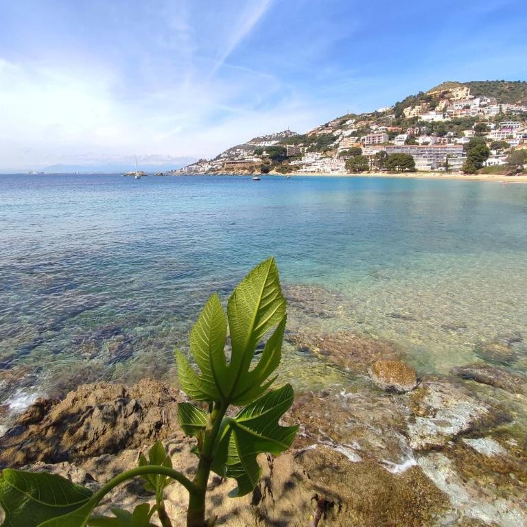 Costa 2 5 Canyelles Roses - Immo Barneda - Apartment with Sea View - 23