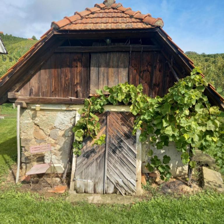 Chalet Auszeit - Haus mit 2 Schlafzimmern - 31