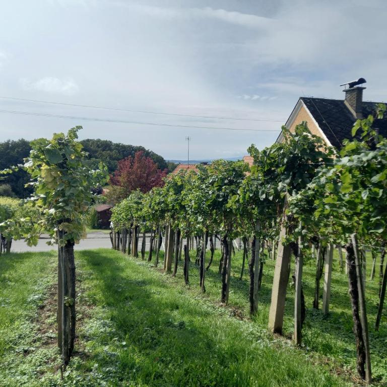 Chalet Auszeit - Haus mit 2 Schlafzimmern - 30