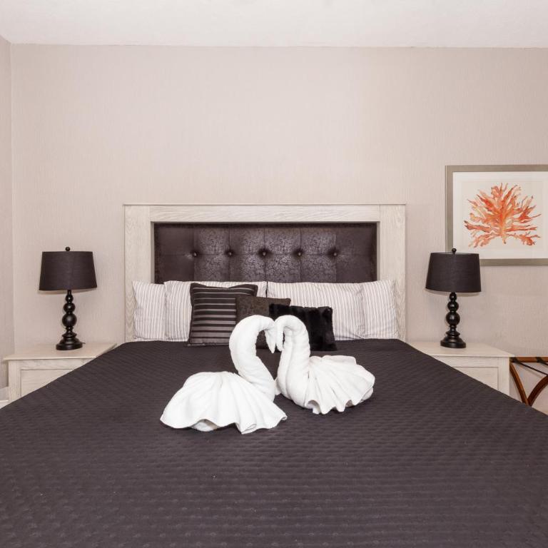 Sonoran Sea 310-W - Modern 1 bedroom - Apartamento con vistas al mar - 12