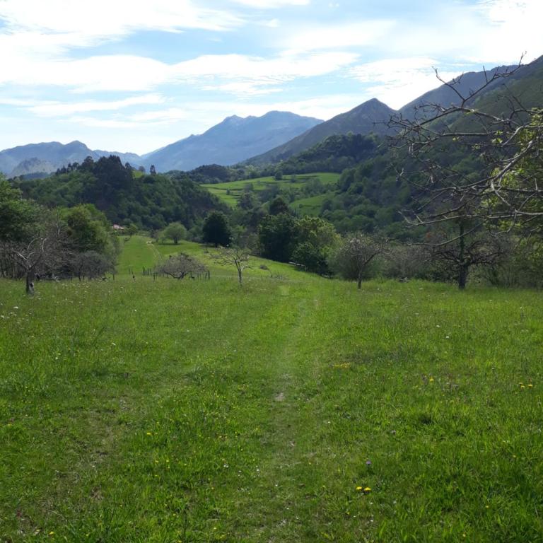 Llanes-Llumedian - Three-Bedroom House - 22