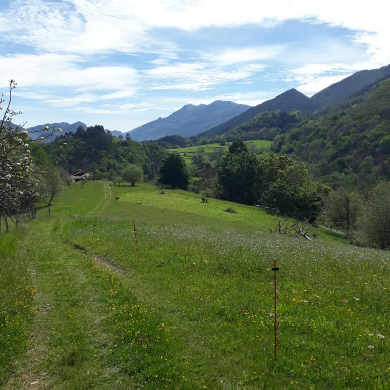 Llanes-Llumedian - Three-Bedroom House - 23